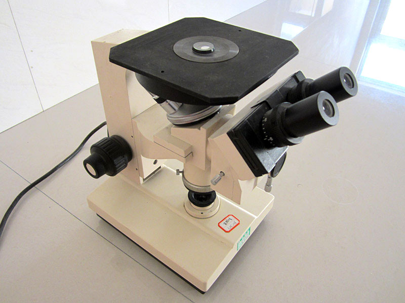 ��������x